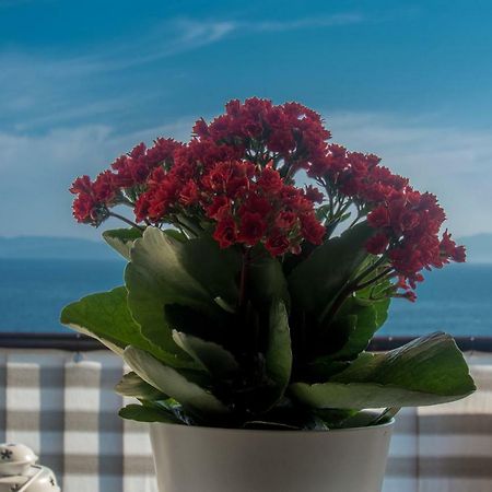 Apartment Paradise View Rijeka Zewnętrze zdjęcie